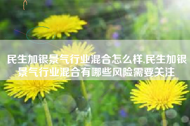 民生加银景气行业混合怎么样,民生加银景气行业混合有哪些风险需要关注