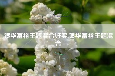 银华富裕主题混合好买,银华富裕主题混合