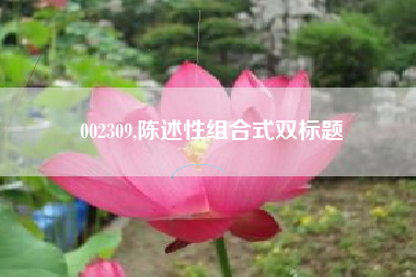 002309,陈述性组合式双标题