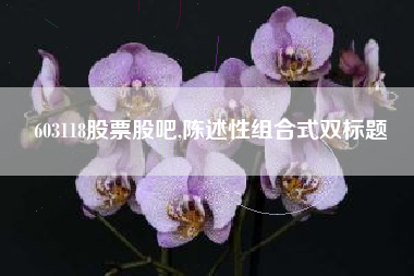 603118股票股吧,陈述性组合式双标题