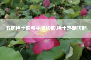 五矿稀土股票牛叉诊股,稀土热潮再起