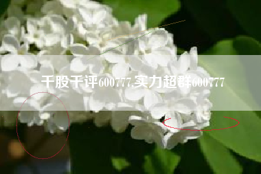 千股千评600777,实力超群600777