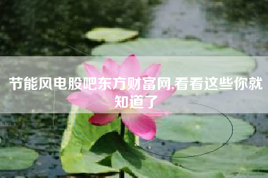 节能风电股吧东方财富网,看看这些你就知道了