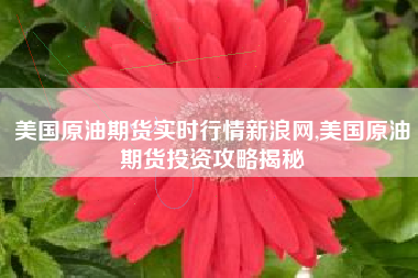 美国原油期货实时行情新浪网,美国原油期货投资攻略揭秘