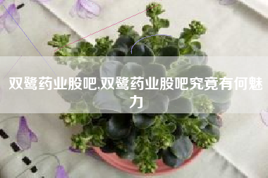 双鹭药业股吧,双鹭药业股吧究竟有何魅力