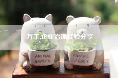 万丰,企业治理经验分享