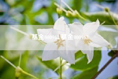 基金000963,基金000963
