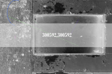 300592,300592