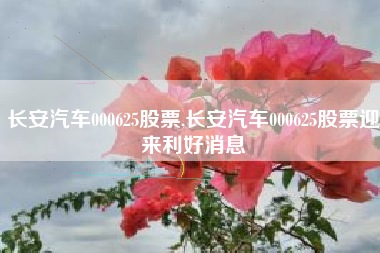 长安汽车000625股票,长安汽车000625股票迎来利好消息