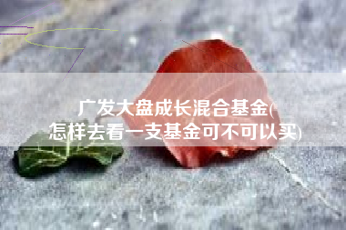 广发大盘成长混合基金(
怎样去看一支基金可不可以买) 广发大盘成长混合基金(
怎样去看一支基金可不可以买)
