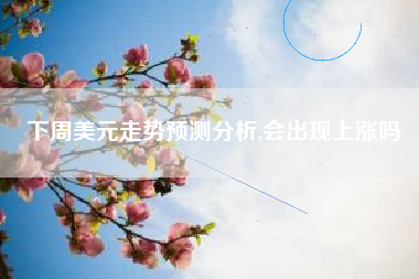 下周美元走势预测分析,会出现上涨吗