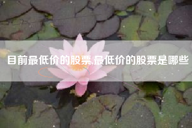 目前最低价的股票,最低价的股票是哪些