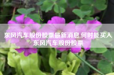东风汽车股份股票最新消息,何时能买入东风汽车股份股票