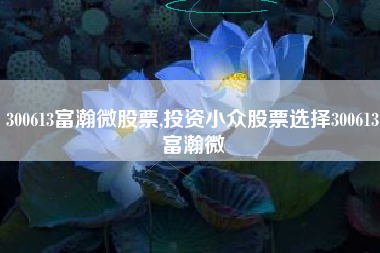 300613富瀚微股票,投资小众股票选择300613富瀚微