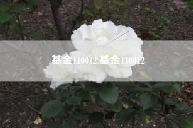基金110012,基金110012