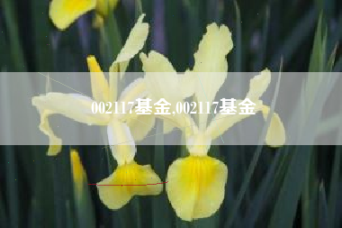 002117基金,002117基金