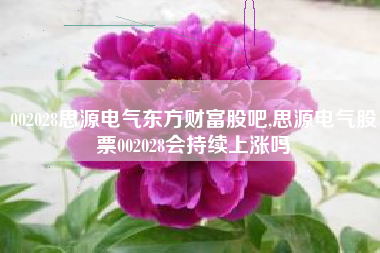002028思源电气东方财富股吧,思源电气股票002028会持续上涨吗