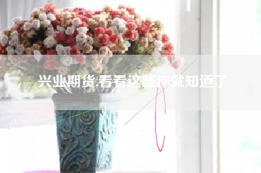兴业期货,看看这些你就知道了