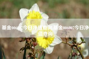 基金006007今日净值查询,基金006007今日净值查询