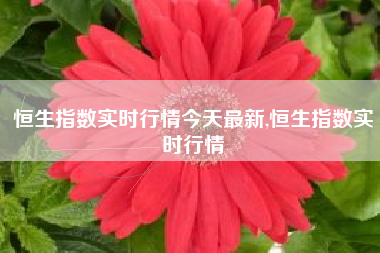 恒生指数实时行情今天最新,恒生指数实时行情