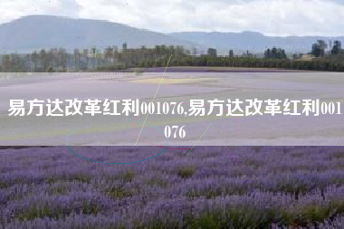 易方达改革红利001076,易方达改革红利001076