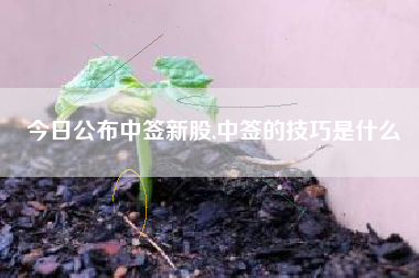 今日公布中签新股,中签的技巧是什么