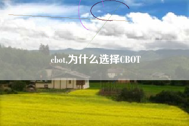cbot,为什么选择CBOT