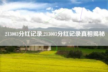 213003分红记录,213003分红记录真相揭秘