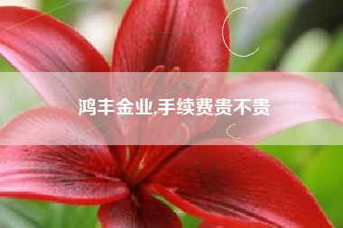 鸿丰金业,手续费贵不贵