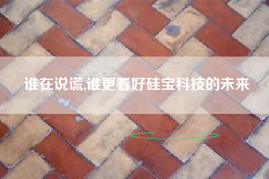 谁在说谎,谁更看好硅宝科技的未来