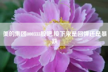 美的集团000333股吧,接下来是回弹还是暴跌