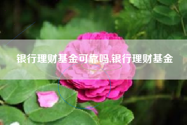 银行理财基金可靠吗,银行理财基金
