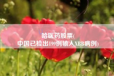 哈医药股票(
中国已检出199例输入XBB病例)