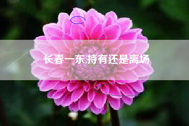 长春一东,持有还是离场