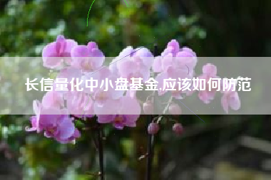 长信量化中小盘基金,应该如何防范