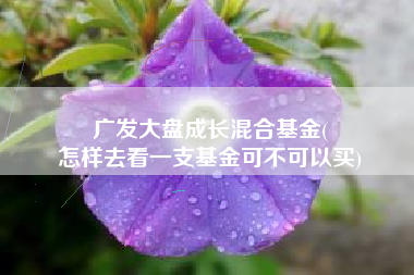 广发大盘成长混合基金(
怎样去看一支基金可不可以买) 广发大盘成长混合基金(
怎样去看一支基金可不可以买)