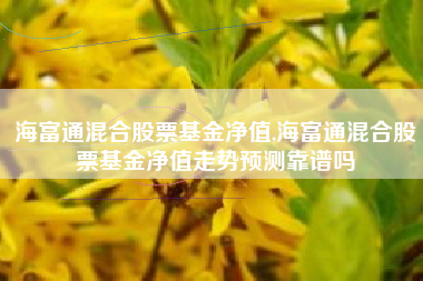 海富通混合股票基金净值,海富通混合股票基金净值走势预测靠谱吗