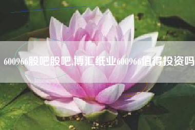 600966股吧股吧,博汇纸业600966值得投资吗