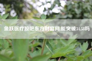 鱼跃医疗股吧东方财富网,能突破34.58吗