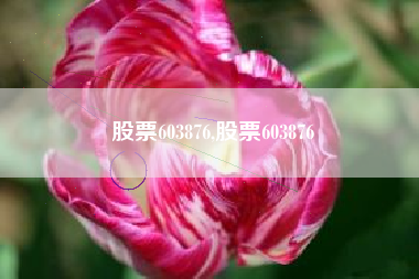 股票603876,股票603876