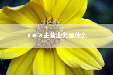 000059,主营业务是什么