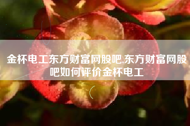 金杯电工东方财富网股吧,东方财富网股吧如何评价金杯电工