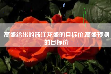 高盛给出的浙江龙盛的目标价,高盛预测的目标价