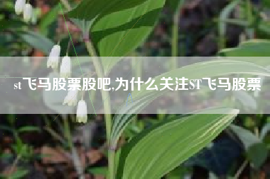 st飞马股票股吧,为什么关注ST飞马股票