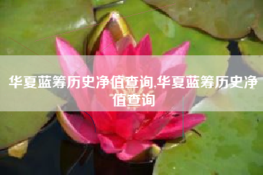 华夏蓝筹历史净值查询,华夏蓝筹历史净值查询