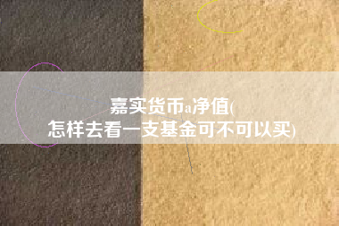 嘉实货币a净值(
怎样去看一支基金可不可以买)