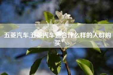 五菱汽车,五菱汽车适合什么样的人群购买