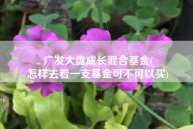 广发大盘成长混合基金(
怎样去看一支基金可不可以买) 广发大盘成长混合基金(
怎样去看一支基金可不可以买)