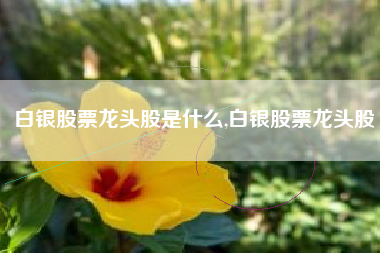 白银股票龙头股是什么,白银股票龙头股
