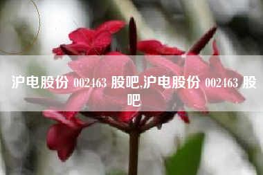 沪电股份 002463 股吧,沪电股份 002463 股吧